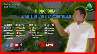 Hidroponia el Arte de Cultivar sin Suelo