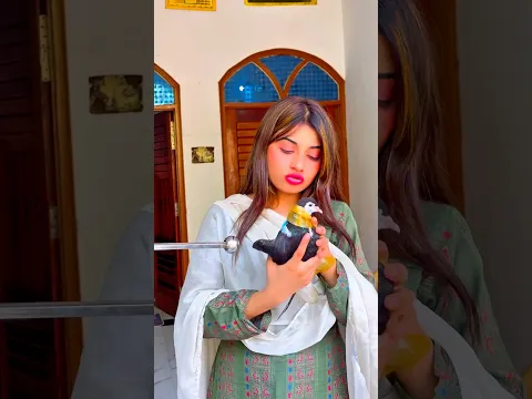 🕊️❤️ कहना मानने वाला कबूतर ❤️🕊️ #kabootar #video #dosti 😲#video #training#video #kabootar ❤️😊