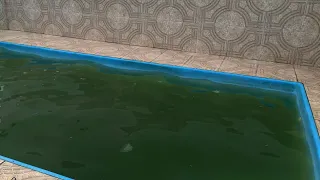 Como limpar uma piscina verde usando 2 produtos #foryou #limpeza #pool #satisfying #fy #piscinas