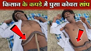 किसान के कपड़े में घुसा कोबरा सांप देखिए फिर क्या हुआ | cobra snake rescue | Murali wale hausla