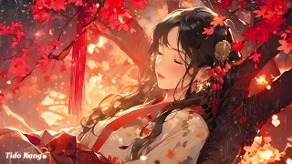 Relaxing Music MIX, Sleep Music, Study Music, Healing Music for concentration, Reading, Coding Music