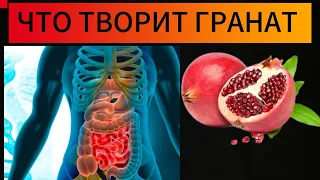 Что ТВОРИТ ГРАНАТ с организмом.....