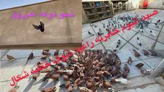 صدت طير عالمي وخابرت راعيه شوفو شكال