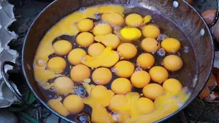 survival in the rainforest-women found two chicken & took eggs for cook -Eating delicious HD