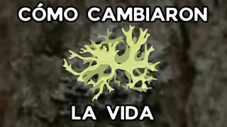 Cómo los Líquenes Cambiaron la Vida