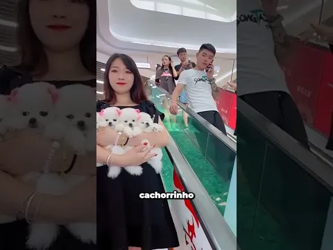 Ela deu de presente os filhotinhos MAIS FOFOS do mundo! 🐶💖