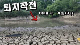 가뭄으로 말라버린 저수지.. 외래종이 넘치는 저수지에 들어갔더니...이게뭐야!? with맹독사