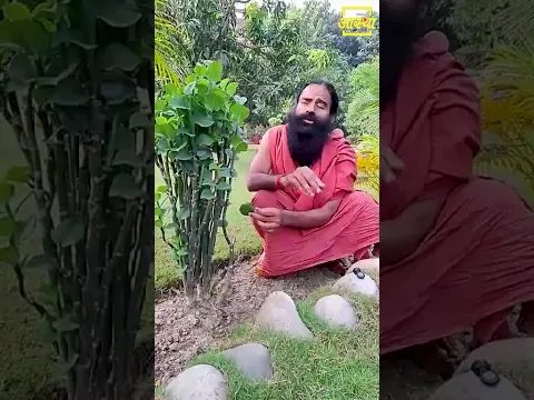 बवासीर (Piles) की अक्सीर दवा || Swami Ramdev