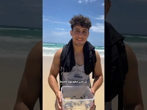 أطلق سراح التنين الأزرق لكن حدث هذا ❤️!