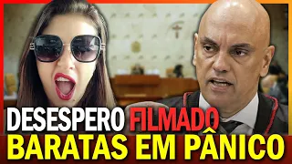 Te Atualizei, vaqueira de BOLSONARO na pura CHORADEIRA