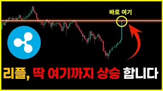 리플, 딱 여기까지 상승 합니다! 수익 타점 대공개!