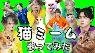 【猫ミーム / チピチピチャパチャパ】Cat Meme-Dubidubidu 歌って踊ってみた