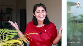 House Plant Tour FINALLY!
