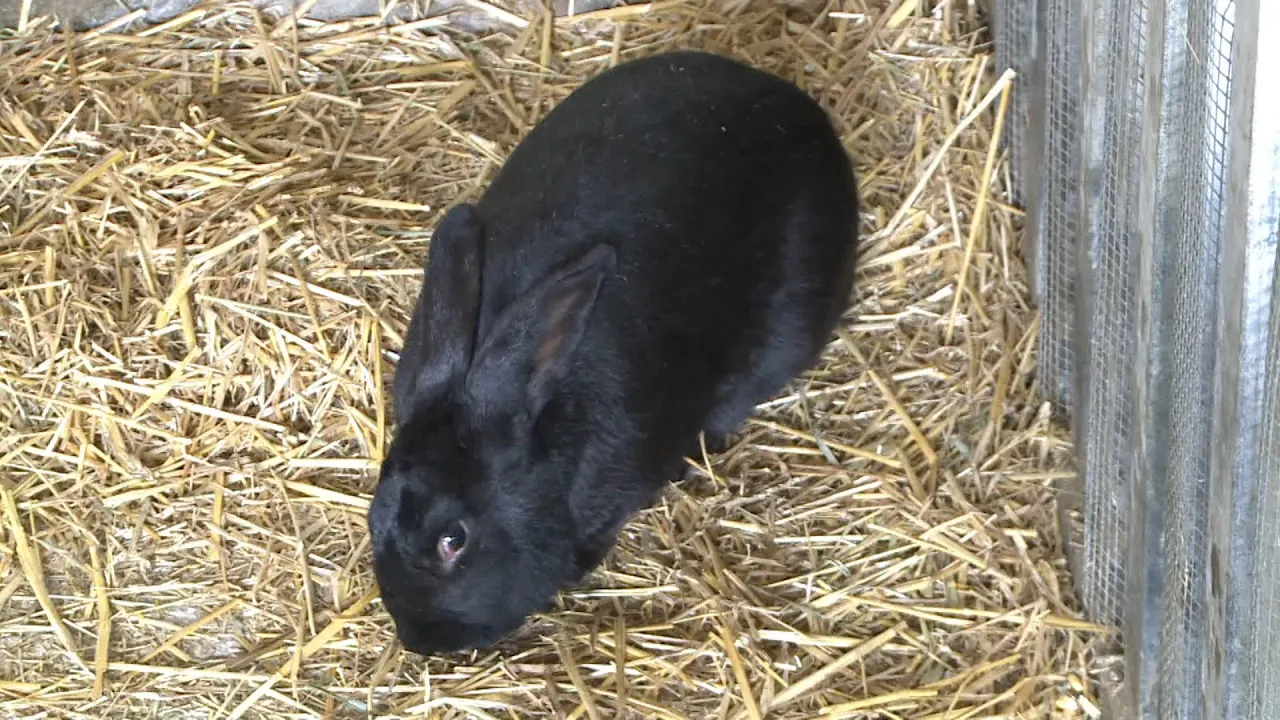 El 9 Informatiu – 27-3-26