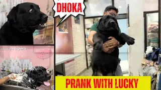 Prank On My Dog | Dhoke Se Nehla Diea #doglover