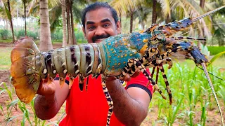 FISHERMAN LOBSTER COOKING | Big Lobster Recipe | World Food Tube
