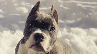 After treat #youtube