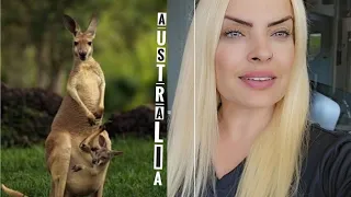"Çok KORKTUM" Kangurularla Avustralya'da Yaşamak!