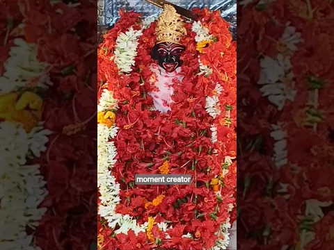 মায়ের পায়ের জবা হয়ে ওঠ না ফুটে মন#maakali #youtubeshorts #shorts #shortvideo #youtube#minivlog
