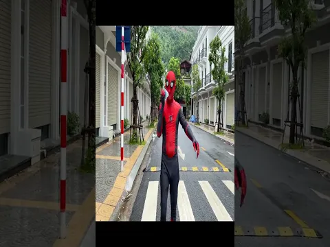 Spider-Man VS. Policeman