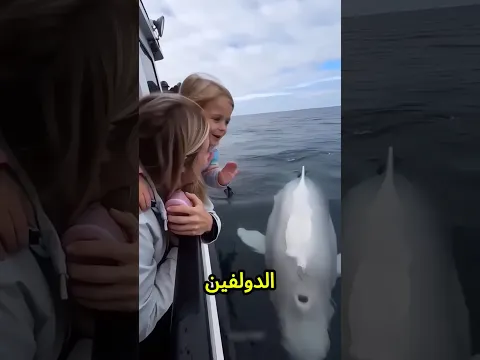 ينهر يا ماما، الشبشب بتاعي وقع في البحر قدام الدولفين!😱🩴🐬