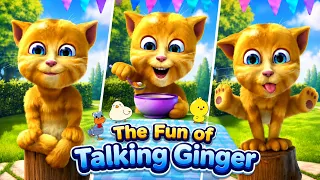 Talking Ginger - Tgg4