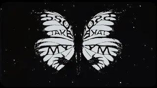 5 Seconds of Summer - Take My Hand (Official Visualizer)