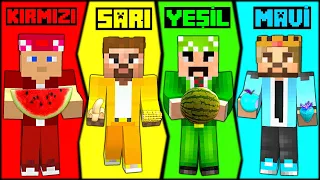 24 SAAT BOYUNCA TEK RENK CHALLENGE! 😱 - Minecraft