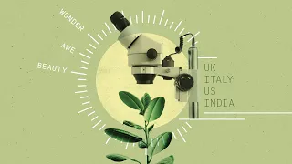 There is Beauty in Science | Brandon Vaidyanathan, The Catholic University of America