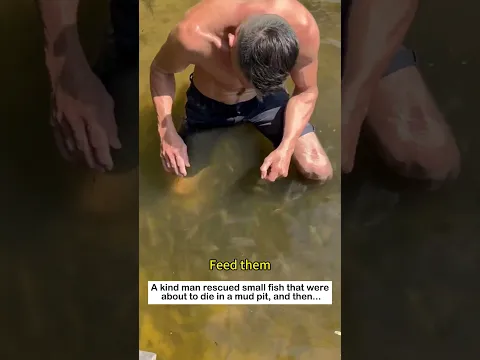 Rescue the little fish #animals #wildliferescue #lovestory #cute #rescue #love #wildlife#fish