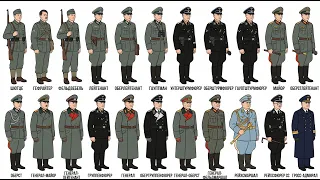 Как работала военная иерархия нацистской Германии: все ранги немецкой армии Второй мировой войны