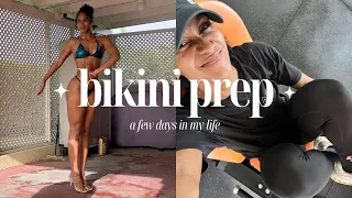 Bikini Prep Diaries | glute workout + check-ins + beach days in Barbados | SHANICE MASON VLOGS
