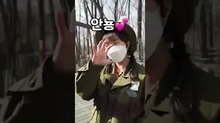 소울리스좌 1시간