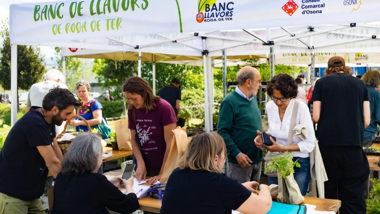 La Fira de la Llavor de Roda se centra en el paper de la dona