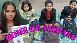Learn English // learning english // learn english speaking