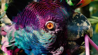 Flume - 2022