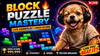 🏆 Block Puzzle LIVE | High Score Hunt Begins