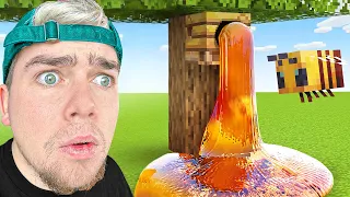 J'ai testé MINECRAFT mais SATISFAISANT !