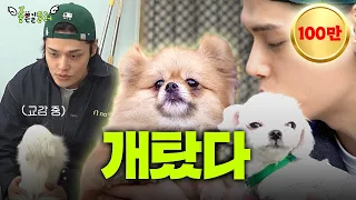 🐶개힘들지만 개좋아!🐶 ‘유기견 봉사 체험’ | 좋은일잘러 EP.1