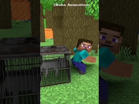 Steve And The Wolf In The Woods #minecraftanimation