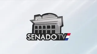 Sesión Ordinaria de la Cámara de Senadores - 20-07-2023
