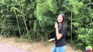 Quadro “Vale em Cena” com Mayumi Kuramoto no “A Hora do Show” COMPLETO! 🎬 | 3 passeios INCRÍVEIS 😍