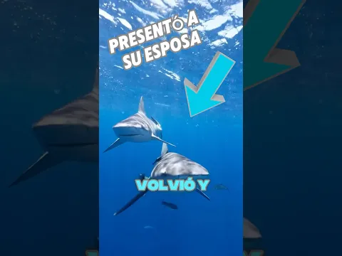 Este hombre atrapó a un tiburón sonriente ❤️ #shorts