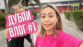 VLOG 1: Улетели с Декстером в Дубай❤
