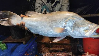 ARIF FISH CUTTING  is live!