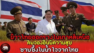 ข้าวไทยออกรวงในเกาหลีเหนือ คิมจองอึนปลื้มใจ ขอบคุณไทย!