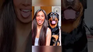 When dogs imitate human behavior.. #dog #dogvideos #doglove #bestfriend #animals #cute #animalshorts