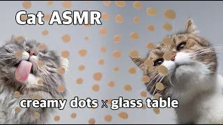 Cats licking creamy snacks on glass table | Cat ASMR