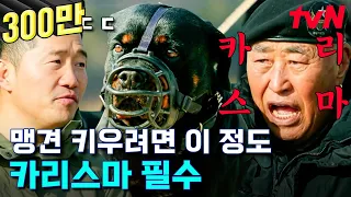 "강훈련 씨(?) 왔으니까 커피 좀 가져와!" 맹견 로트와일러에게 커피 심부름 시키는 카리스마 견주님과 신통방통 똑똑이 미스🖤코리🖤아 | 고독한훈련사