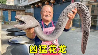1120买条“花龙王”，异常凶猛一口能咬爆易拉罐，做烤鱼太香了！